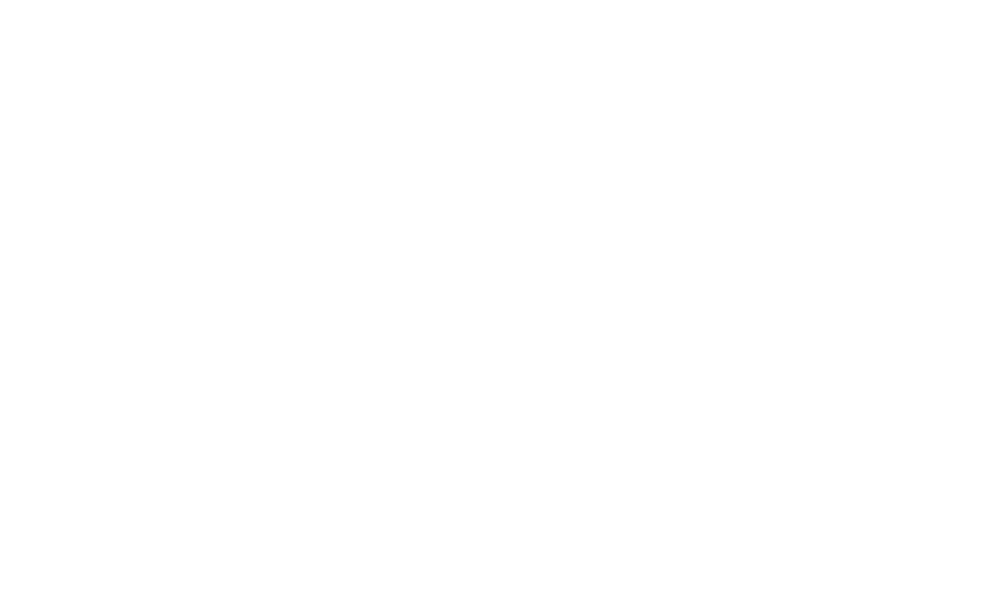 Vizara Festival Logo