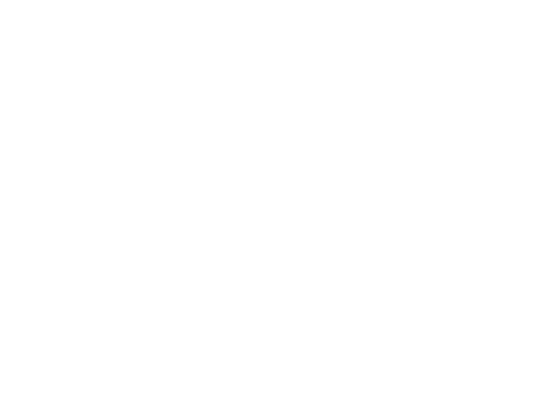 SAFSI